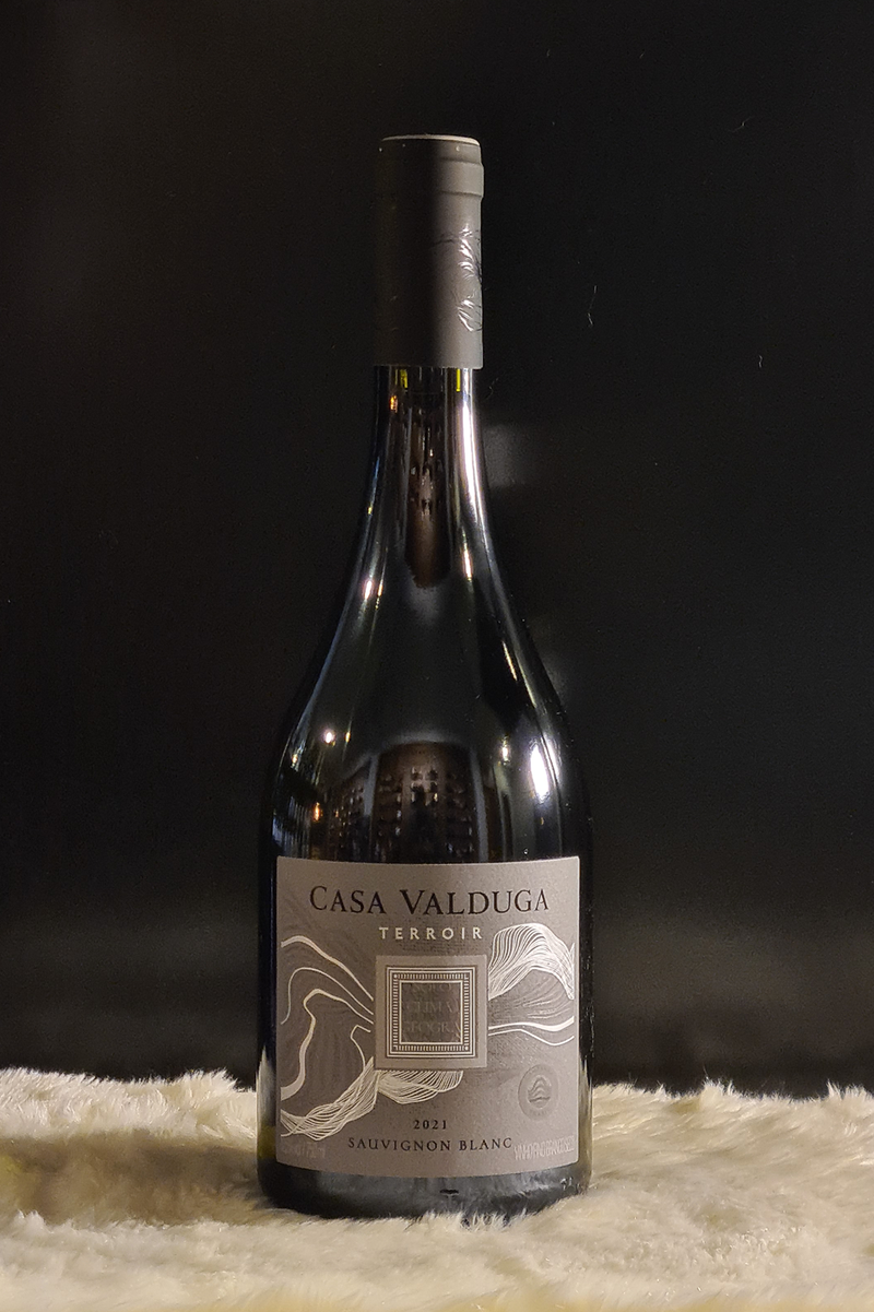 Vinho Casa Valduga Terroir - Sauvignon Blanc
